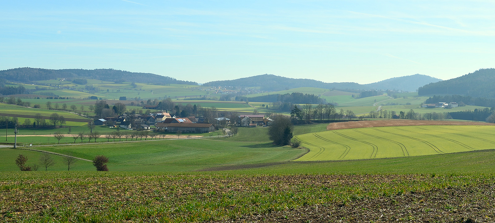 Friedersrieder Vereine